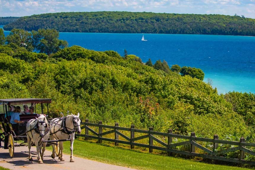 Horse Carriage By Seaside